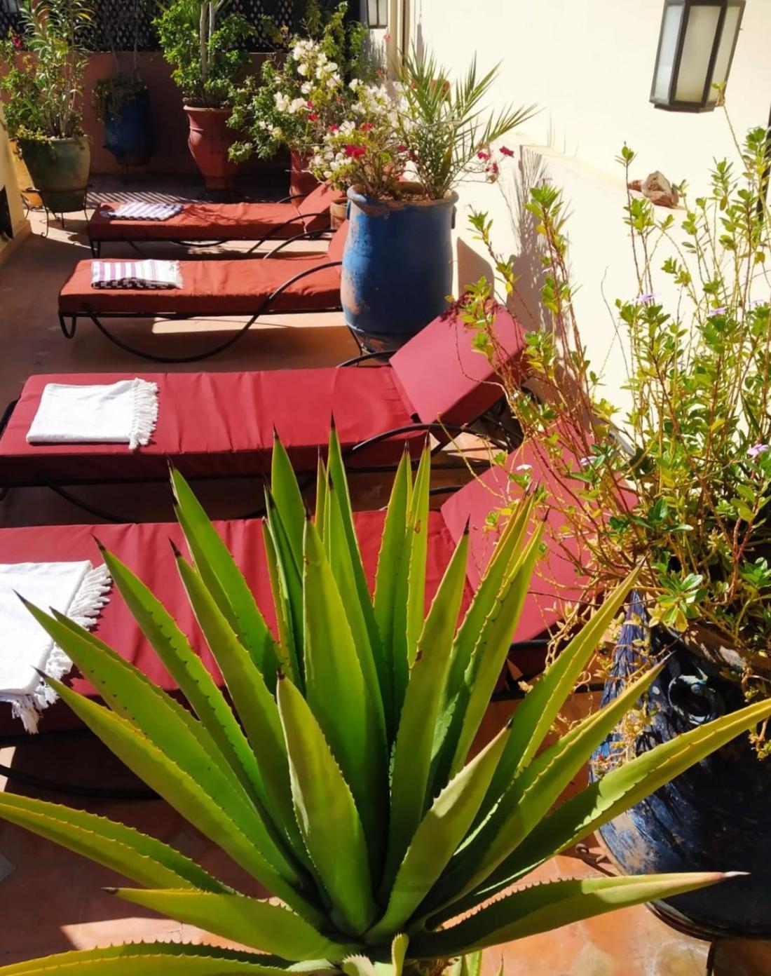Riad Dar Zampa Маракеш Екстериор снимка