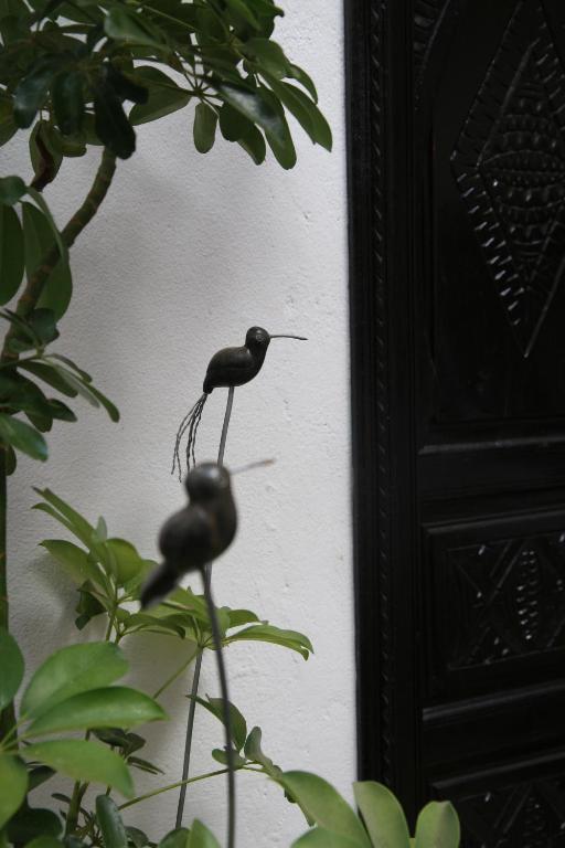 Riad Dar Zampa Маракеш Екстериор снимка